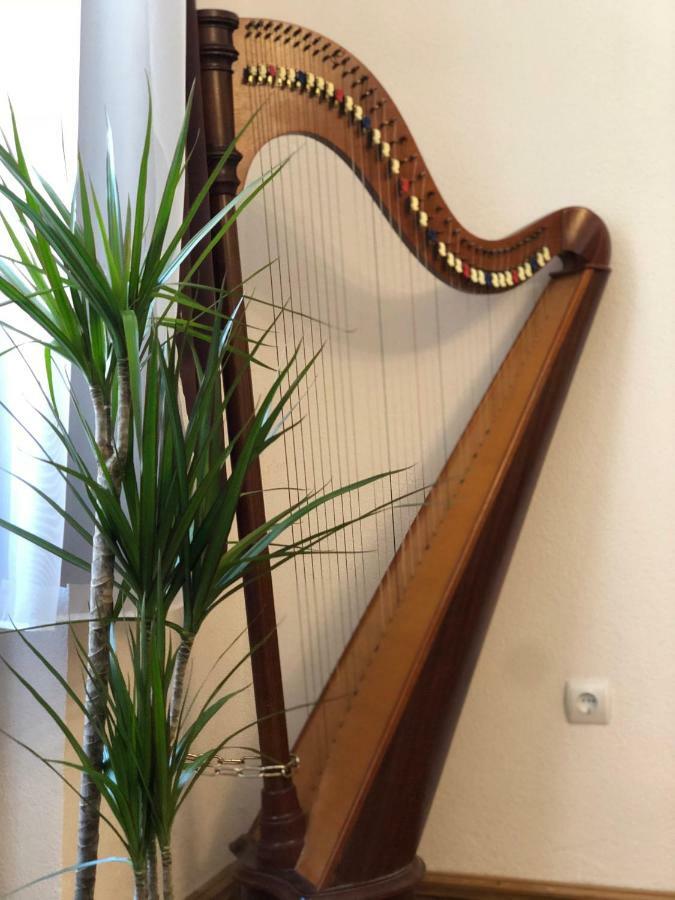 Musik Apartments Old Town Сибиу Экстерьер фото