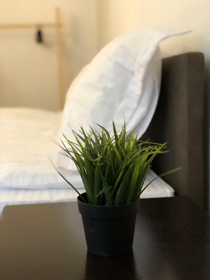 Musik Apartments Old Town Сибиу Экстерьер фото