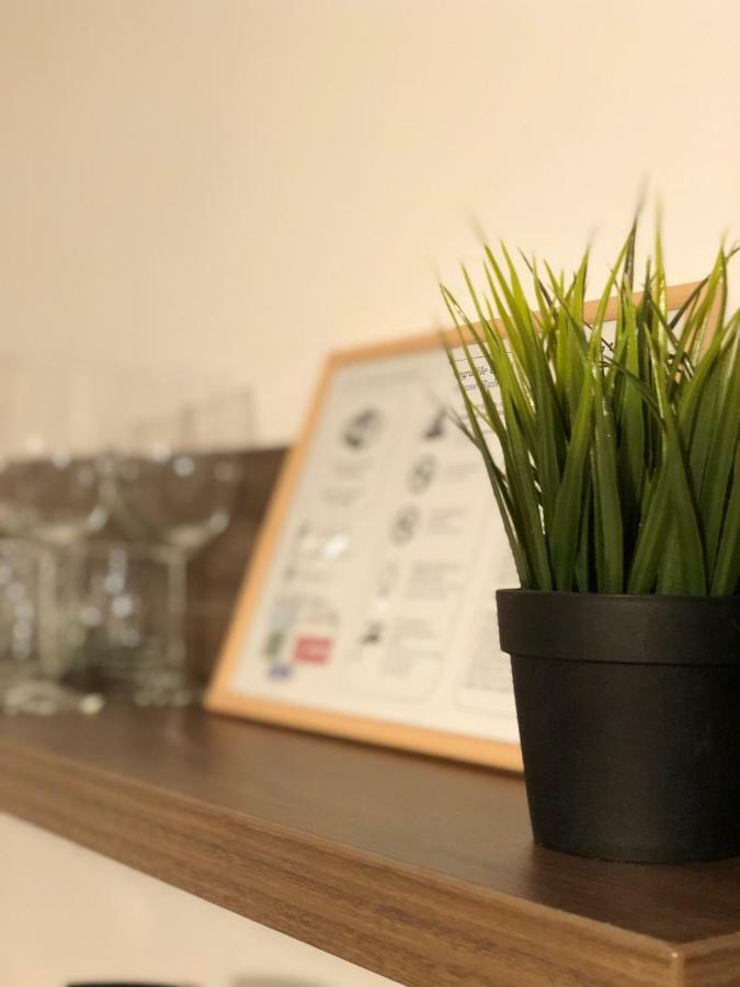 Musik Apartments Old Town Сибиу Экстерьер фото