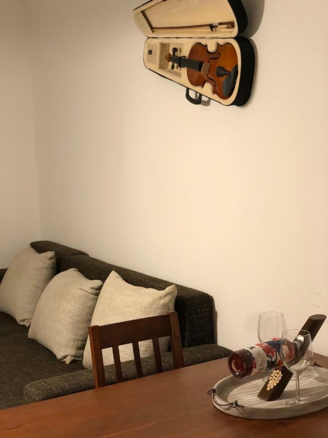 Musik Apartments Old Town Сибиу Экстерьер фото